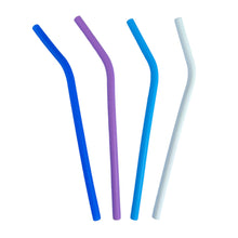  SailPak Silicone Straws 